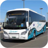 Driver Higer coaches